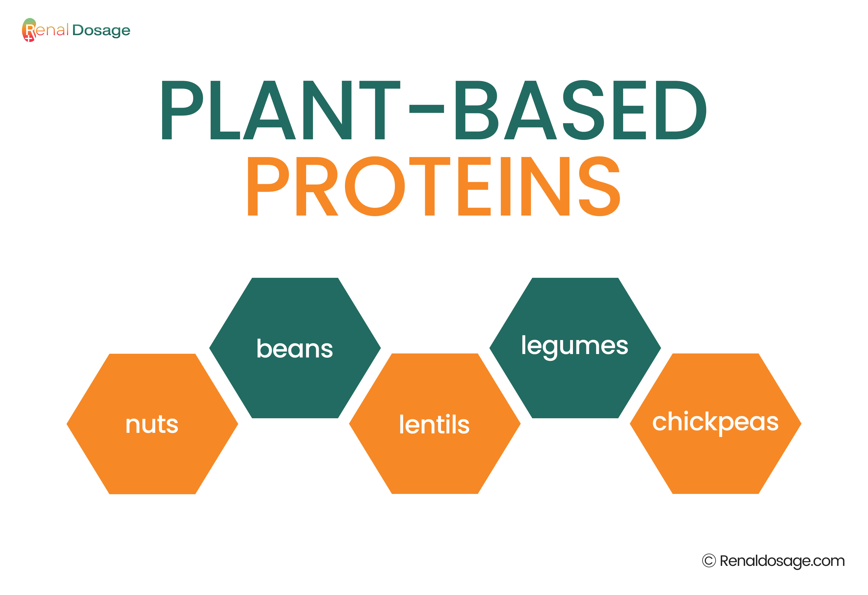 Plant Based Nutrtions 